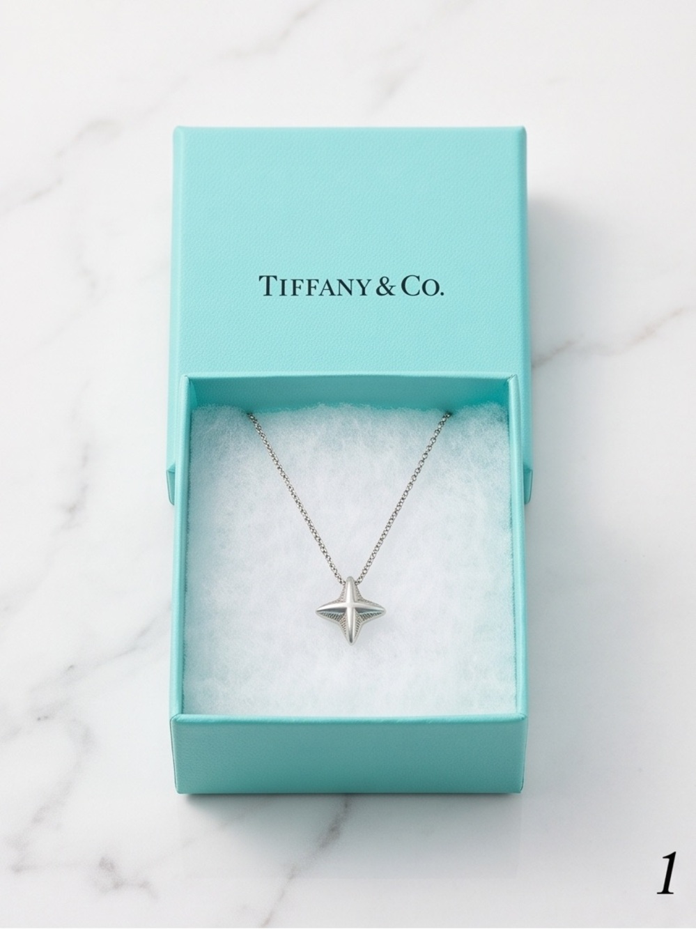 Tiffany & Co. Elsa Peretti Sirius Star Necklace